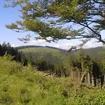 Maison d'hôtes Haus Waldfrieden, Meinecardplus Inklusive Willingen (Upland)