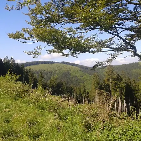 招待所 Haus Waldfrieden, Meinecardplus Inklusive 维林根