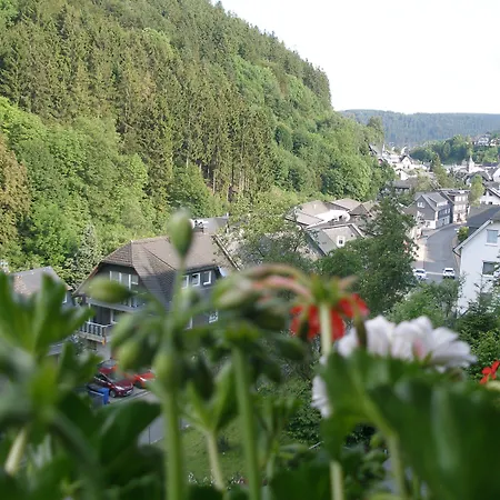 Haus Waldfrieden, Meinecardplus Inklusive Willingen (Upland)
