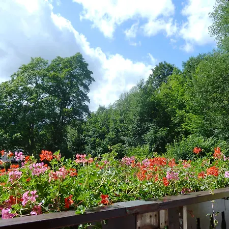 招待所 Haus Waldfrieden, Meinecardplus Inklusive 3*