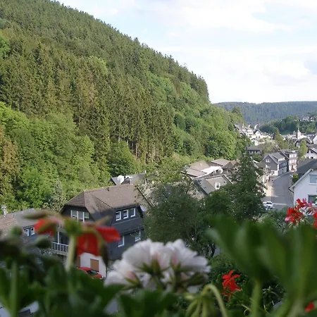 Guest house Haus Waldfrieden, Meinecardplus Inklusive