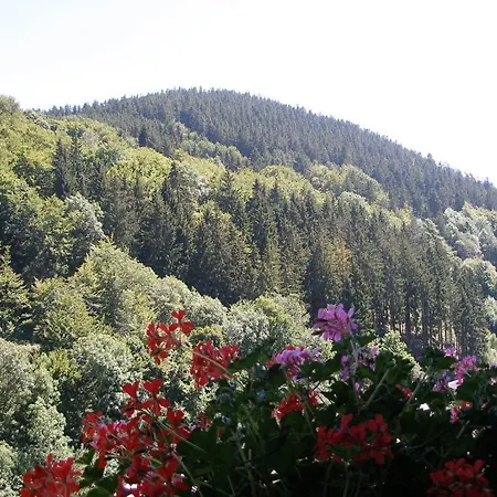 Haus Waldfrieden, Meinecardplus Inklusive 招待所