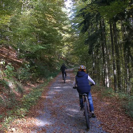 招待所 Haus Waldfrieden, Meinecardplus Inklusive