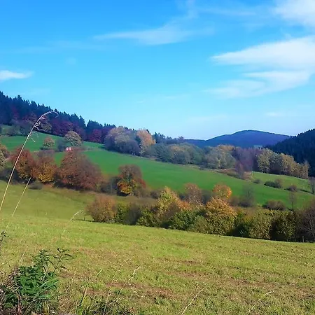 Haus Waldfrieden, Meinecardplus Inklusive 3* 维林根