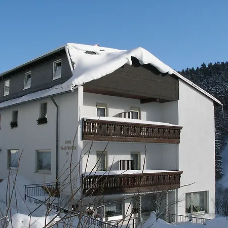 Haus Waldfrieden, Meinecardplus Inklusive Konukevi Willingen (Upland)