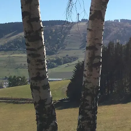 Haus Waldfrieden, Meinecardplus Inklusive Guest house Willingen (Upland)