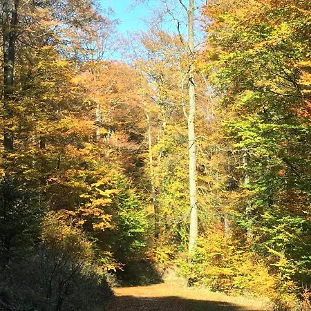 Haus Waldfrieden, Meinecardplus Inklusive 维林根