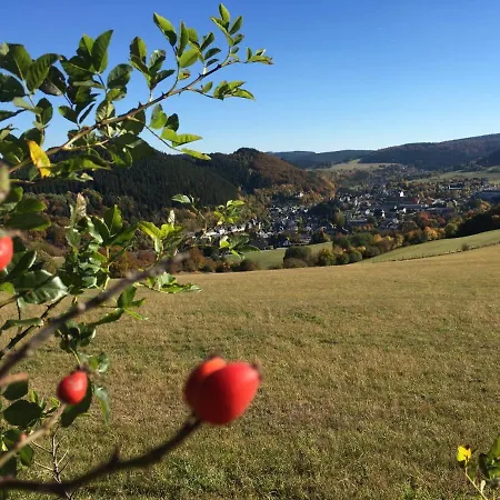 Haus Waldfrieden, Meinecardplus Inklusive Guest house