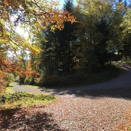 Haus Waldfrieden, Meinecardplus Inklusive 3* 维林根