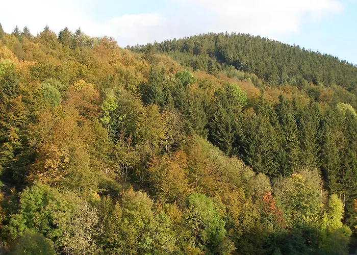 Haus Waldfrieden, Meinecardplus Inklusive