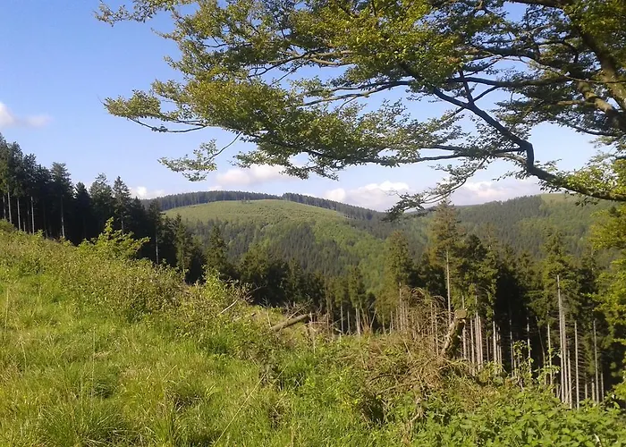 Guest house Haus Waldfrieden, Meinecardplus Inklusive Willingen (Upland)