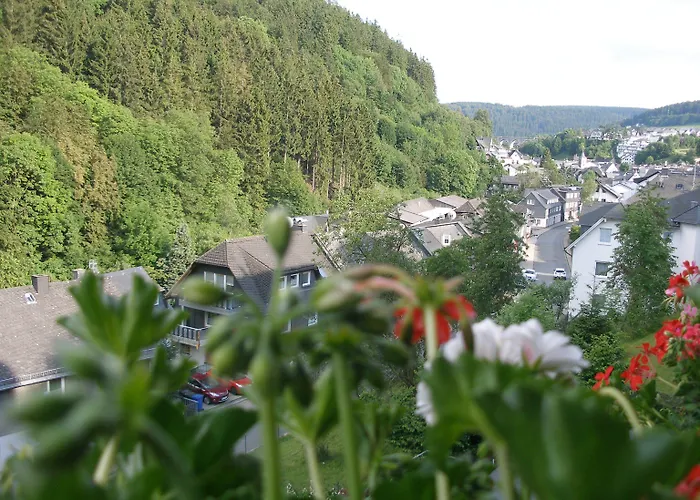 Haus Waldfrieden Willingen (Upland)