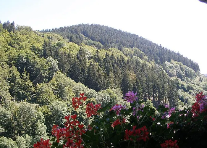 Haus Waldfrieden, Meinecardplus Inklusive Guest house