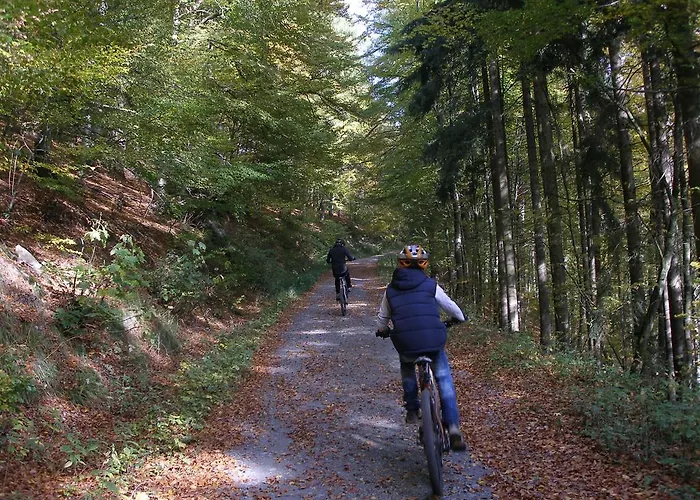 Guest house Haus Waldfrieden, Meinecardplus Inklusive