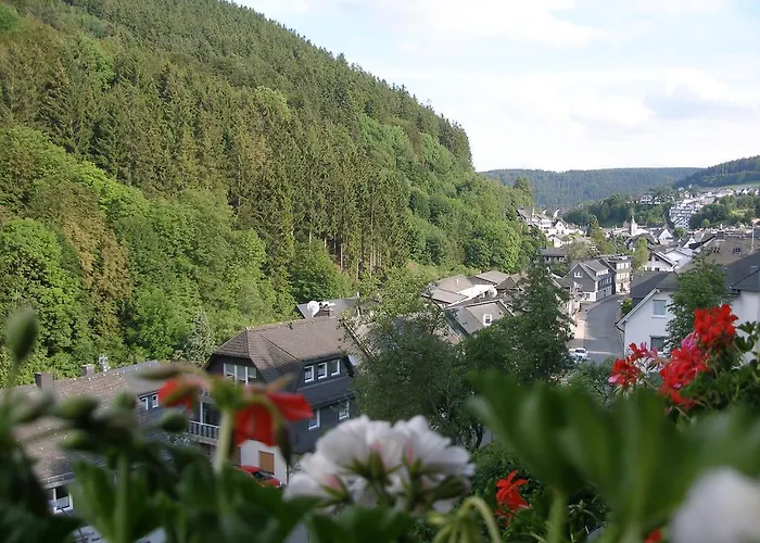 Haus Waldfrieden, Meinecardplus Inklusive Guest house