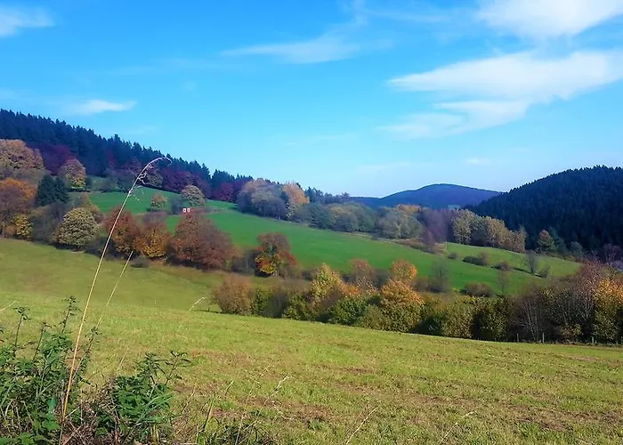 Haus Waldfrieden 3* Willingen (Upland)