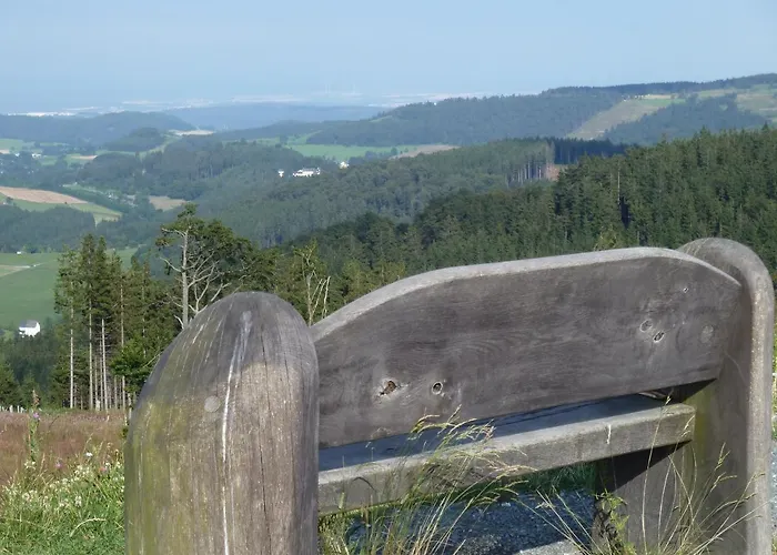 Haus Waldfrieden Willingen (Upland)