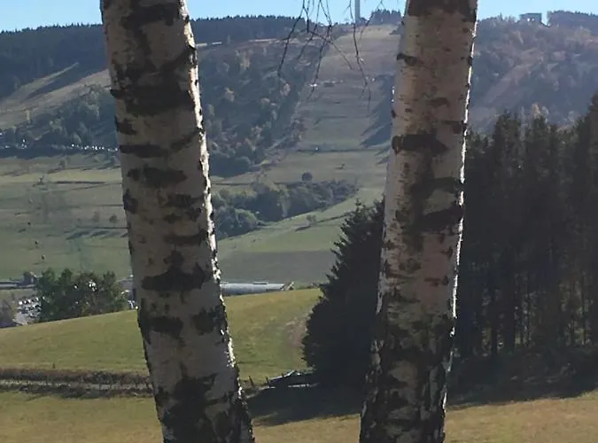 Haus Waldfrieden, Meinecardplus Inklusive Guest house Willingen (Upland)