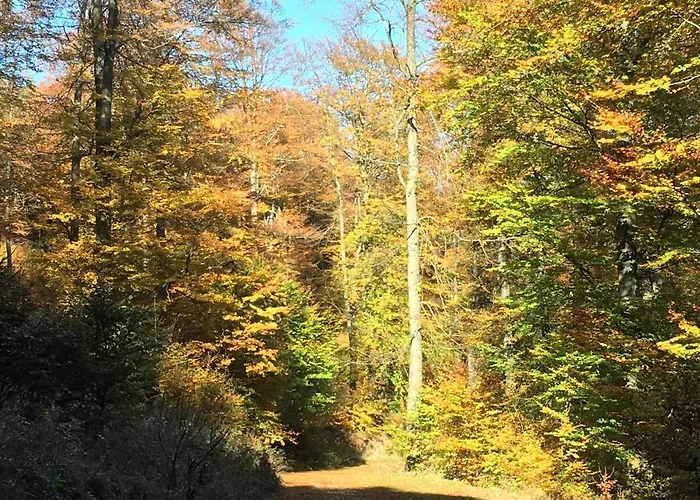 Haus Waldfrieden Willingen (Upland)