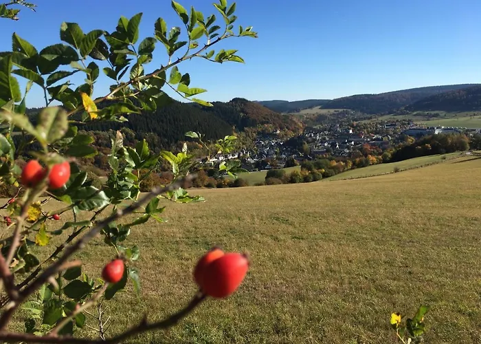 Haus Waldfrieden, Meinecardplus Inklusive Πανσιόν