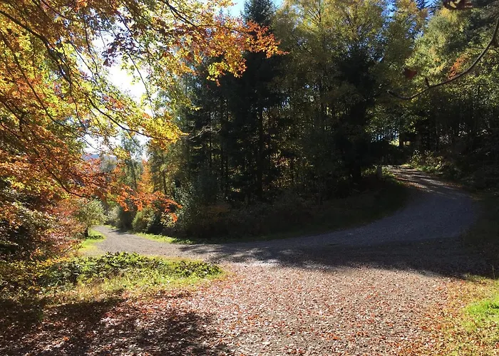 Haus Waldfrieden 3* Willingen (Upland)